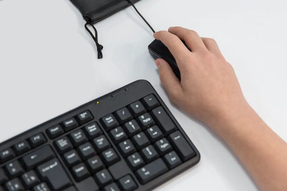    Источник: primamedia.ru/ Варвара Орлова