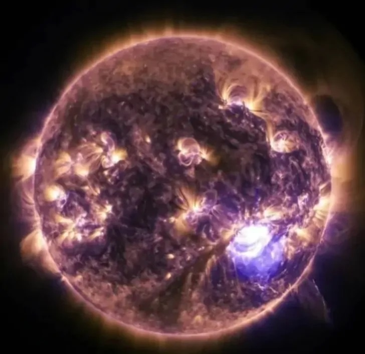    Фото: pxhere.com