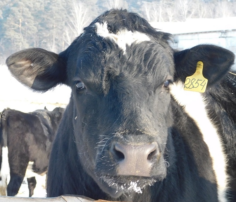    Фото из архива редакции