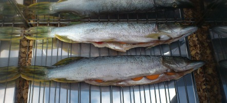 подготовка к копчению