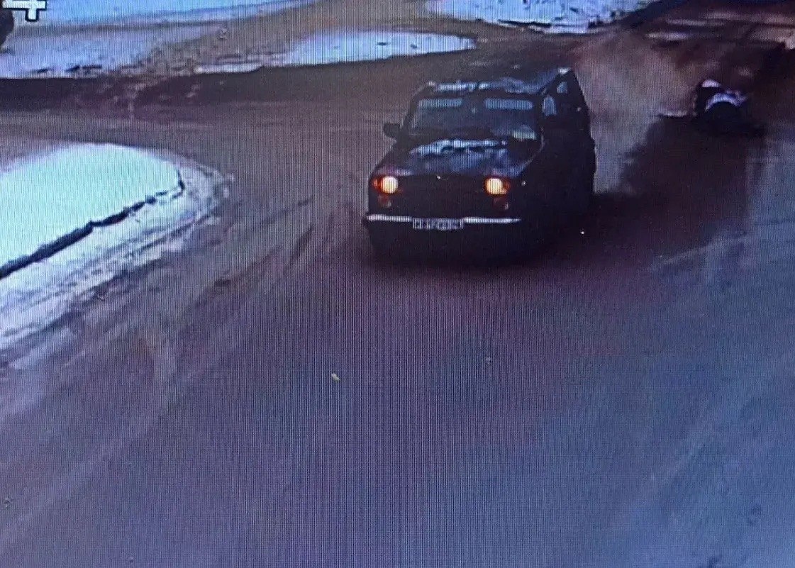 Фото: УМВД России по Курской области