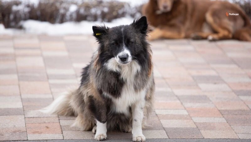      Фото: Валерия Алтухова / / ИА «Победа26»