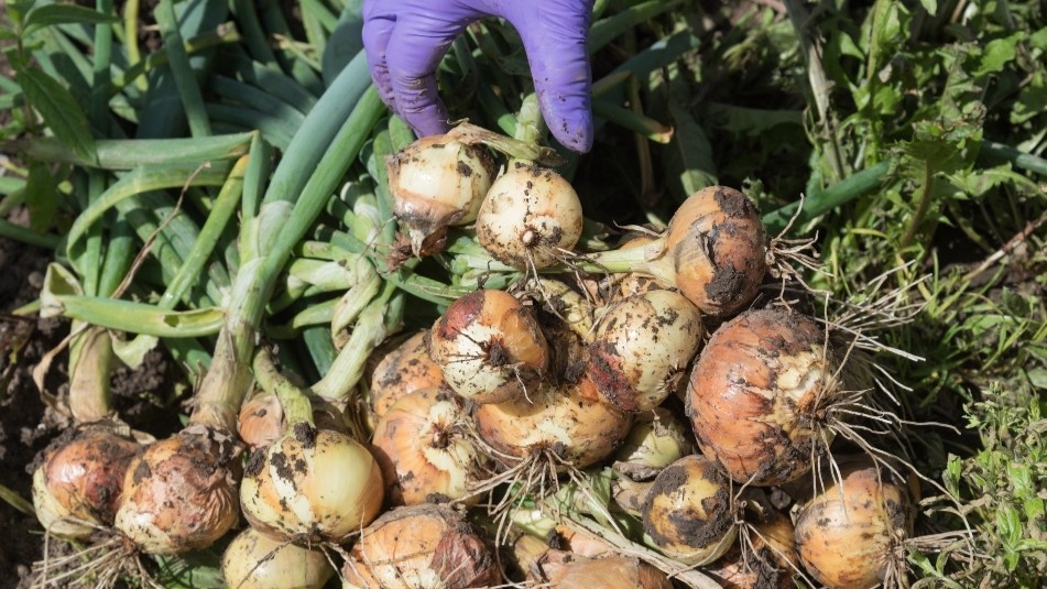 Вот что получается, когда схема посадки выстроена правильно