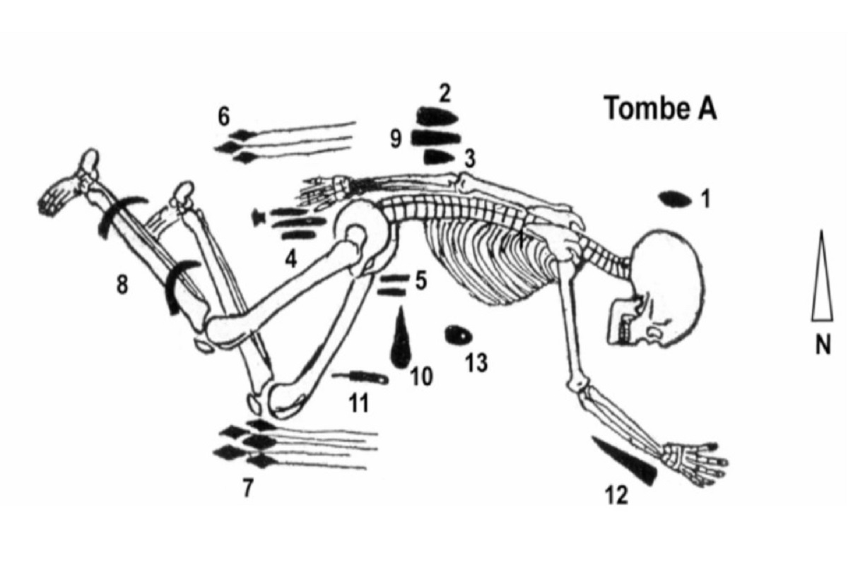    Фото: Jocelyne Desideri et al. / Archaeological and Anthropological Sciences, 2026