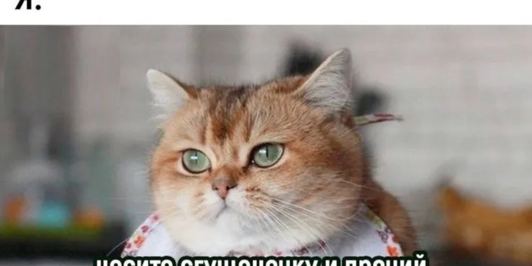 Инвестиции--это не вера: почему никого не нужно спасать.