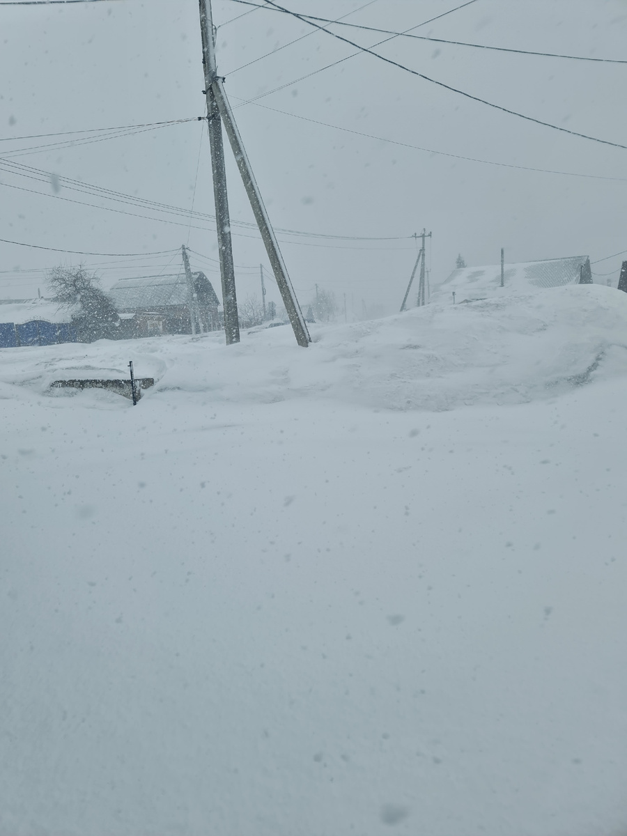 Вот такая у нас весна в Кузбассе