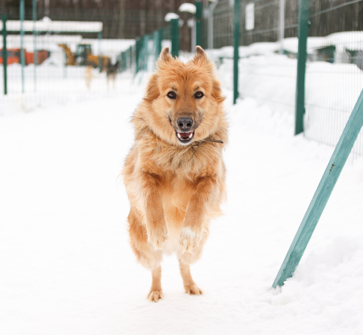 А что же изменилось с тех пор? И почему?