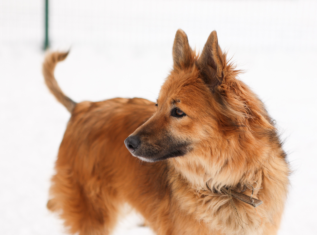 А могла бы уже обнимать и целовать
