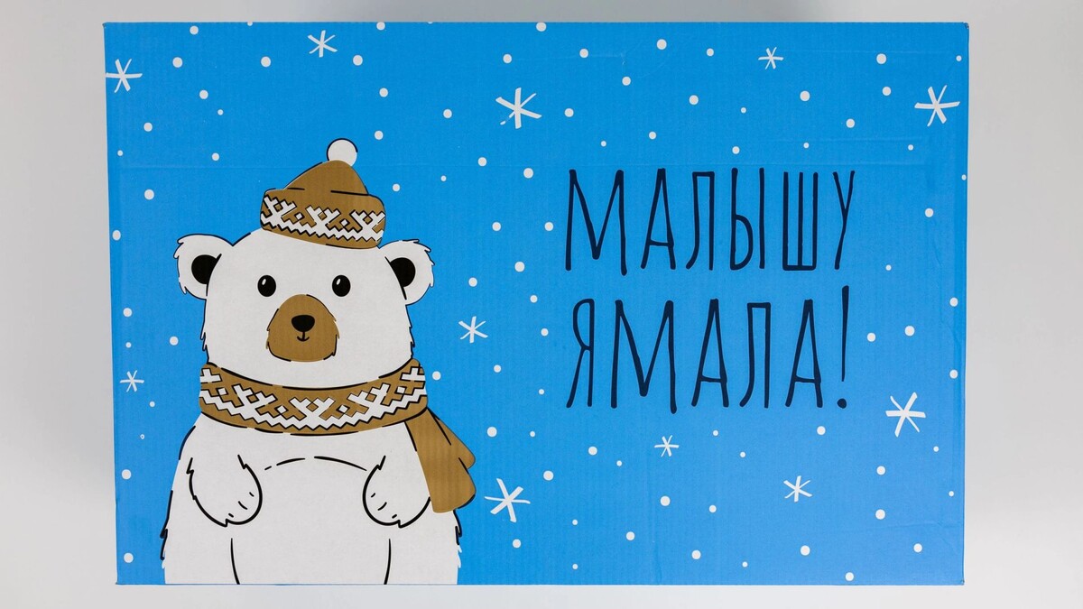    Фото: Александр Чирва/«Ямал-Медиа»