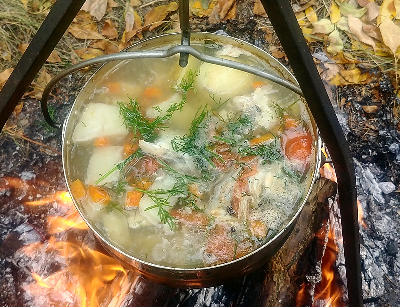 Из открытых источников