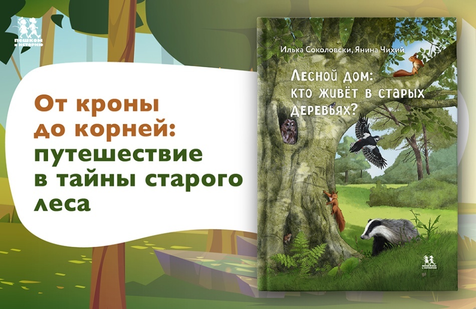 Илька Соколовски, Янина Чихий «Лесной дом: кто живет в старых деревьях?»