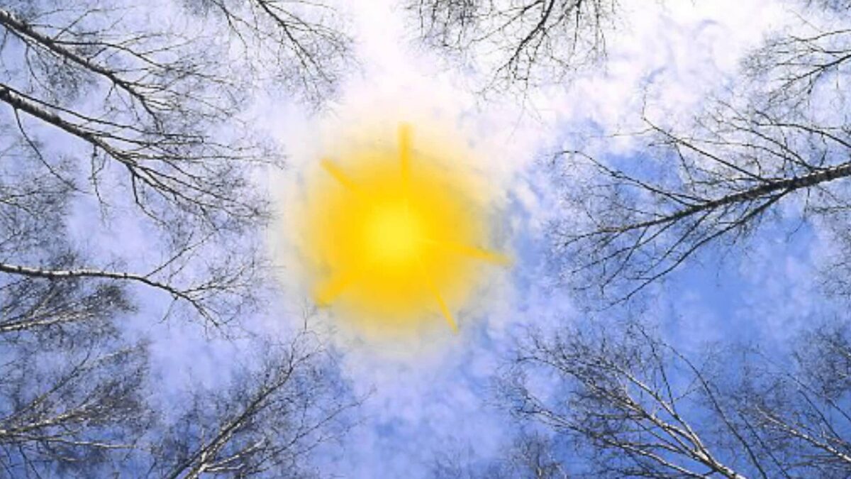 Под прицелом марта. Яндекс картинка.