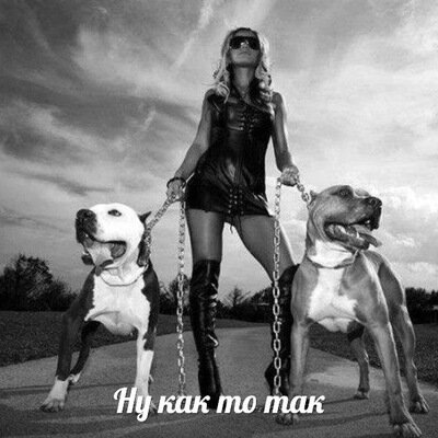 Деньги - женщины. Эволюция. Спор с GPT