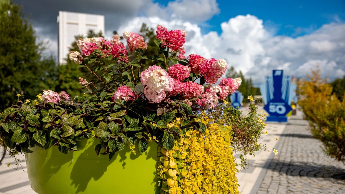    Фото: Юрий Здебский / «Ямал-Медиа»