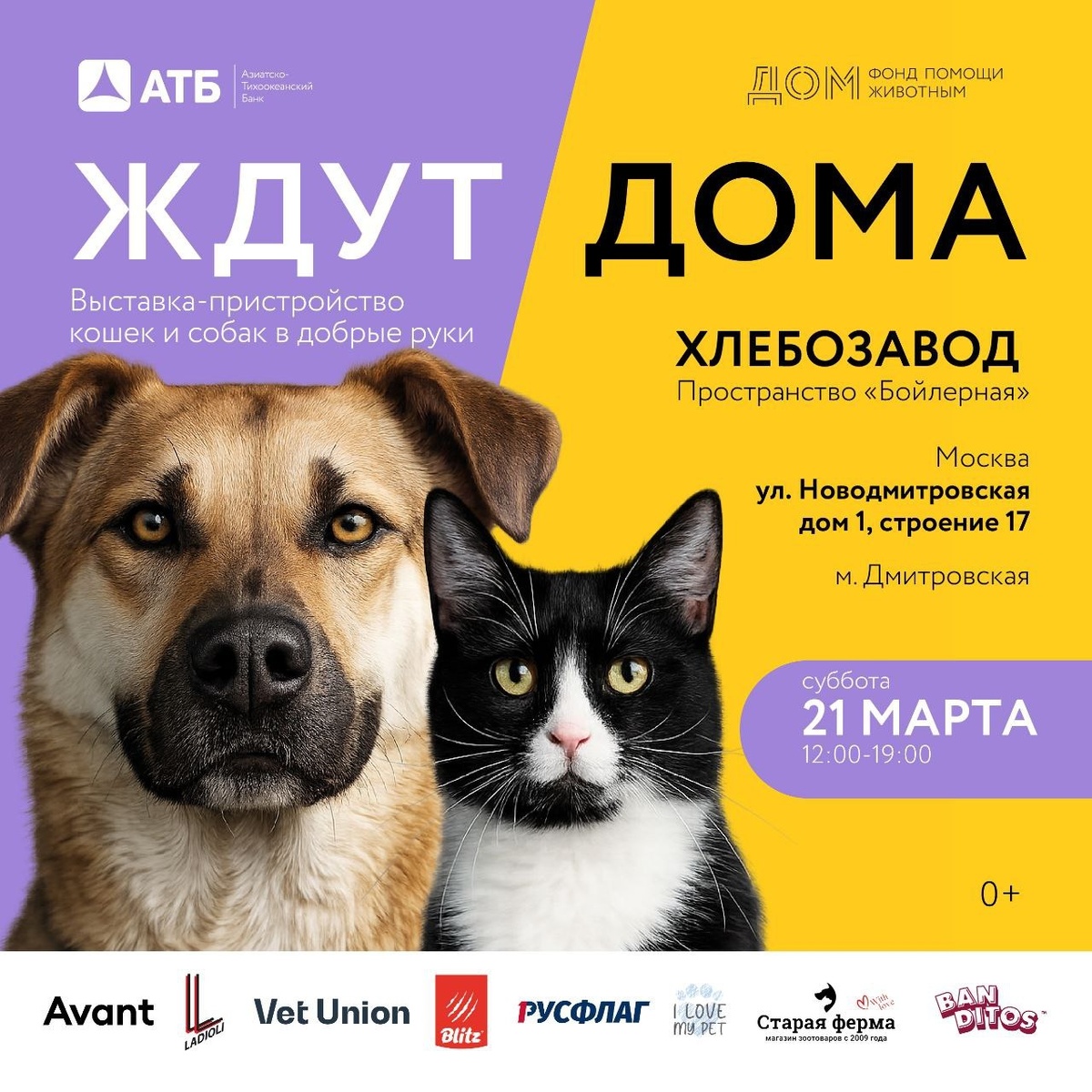 Афиша выставки-пристройства «Ждут ДОМа» 21 марта 2026 года.