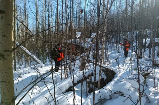    Усольцевы покинули расположенную в поселке Кутурчин турбазу «Геосфера» и уехали на своем автомобиле к началу туристической тропы, ведущей на скалы. Ушли по этой тропе и пропали. Фото: КГКУ Спасатель
