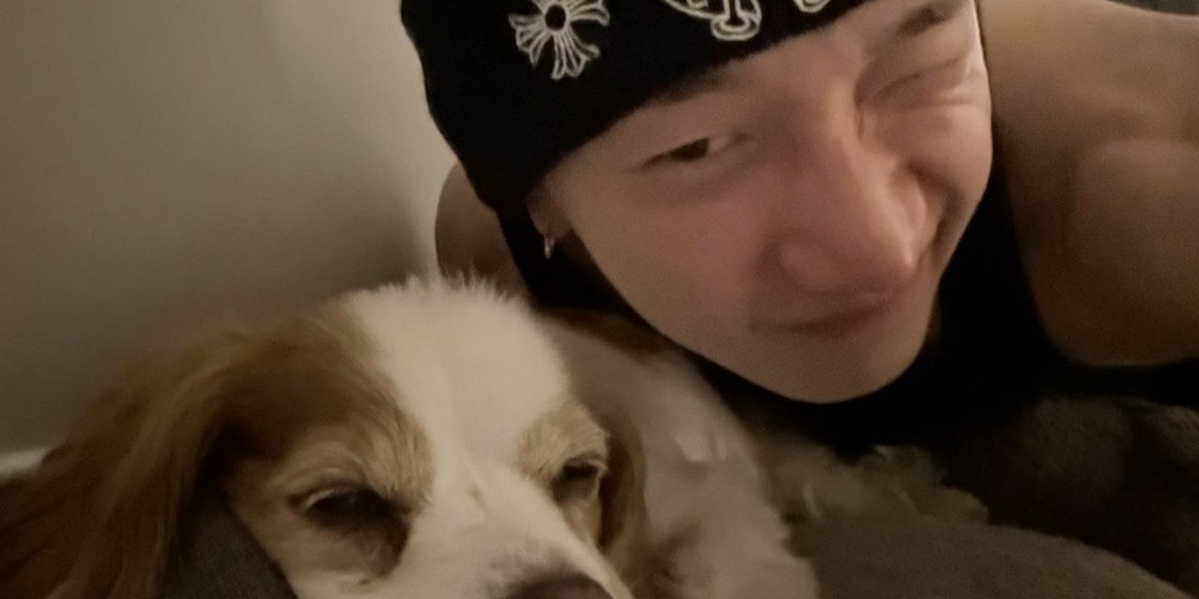 Чан в Австралии