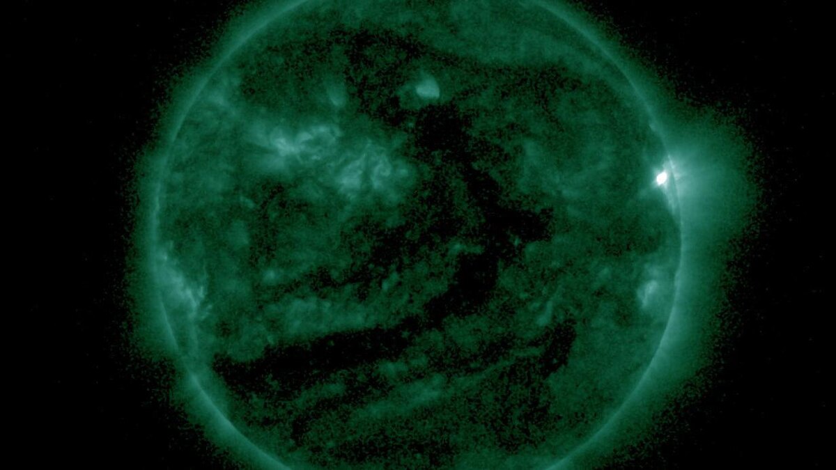    Фото: t.me/lpixras