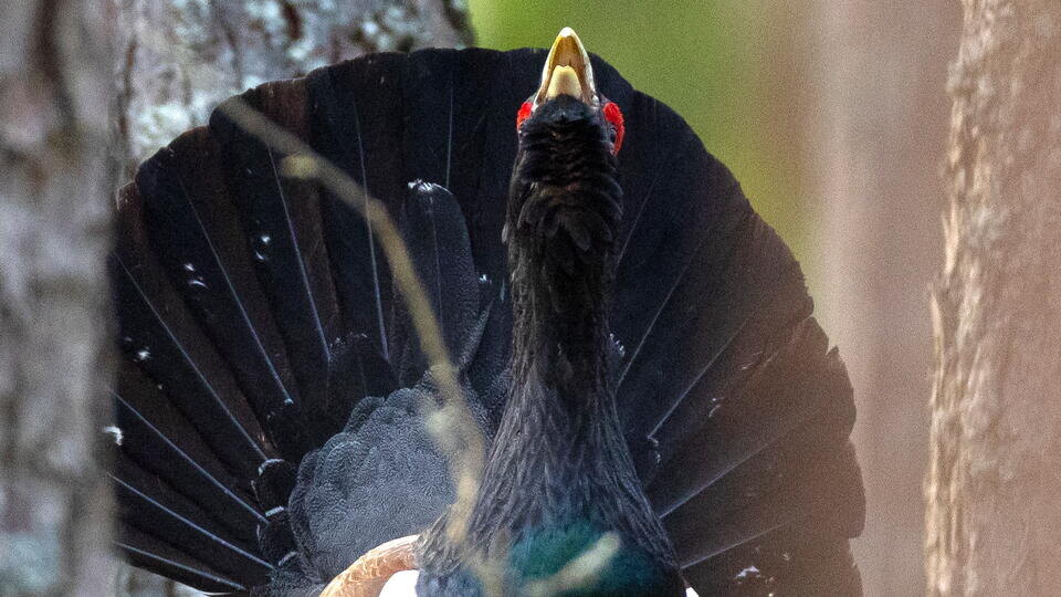 Фото: © Василий Федосенко/ТАСС 