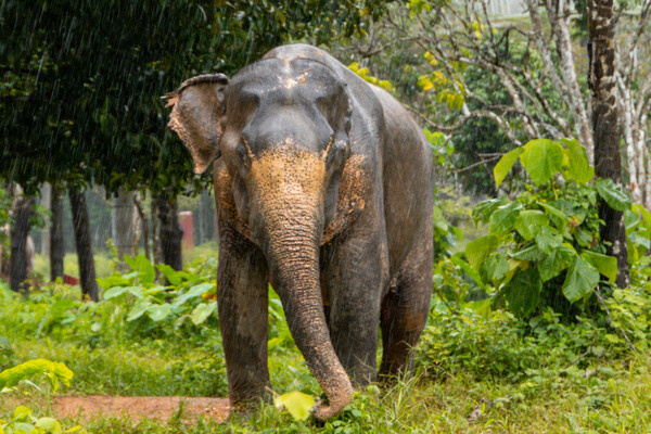 laurenfinchy/Shutterstock/FOTODOM   📷