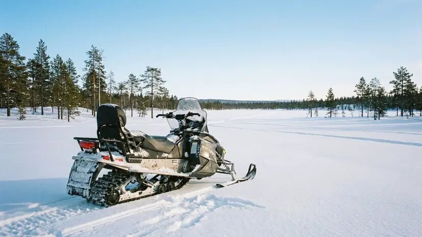    Источник: russian.rt.com Филипп Щербаков