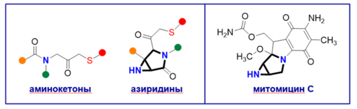 Структуры синтезированных в работе веществ и известного противоопухолевого антибиотика митомицина С. Источник: Николай Ростовский