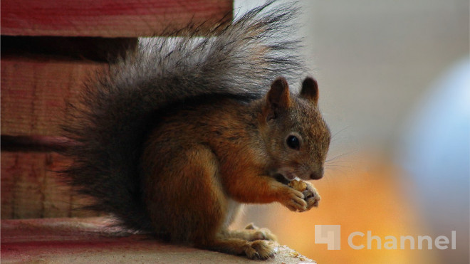 Фото: Анастасия Илюшина/47 канал, архив