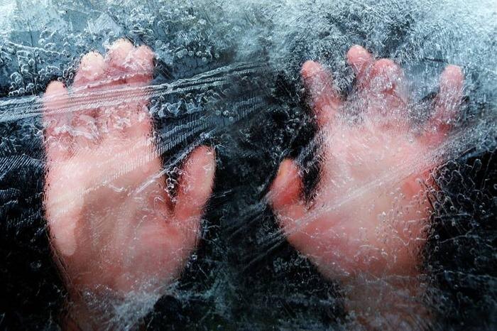 Обложка © Shutterstock / FOTODOM / A.Sm