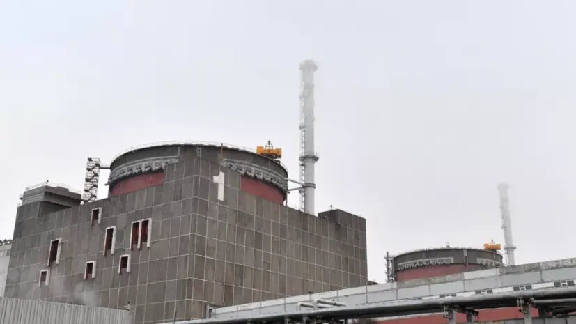    Источник: russian.rt.com Ярослава Мухина