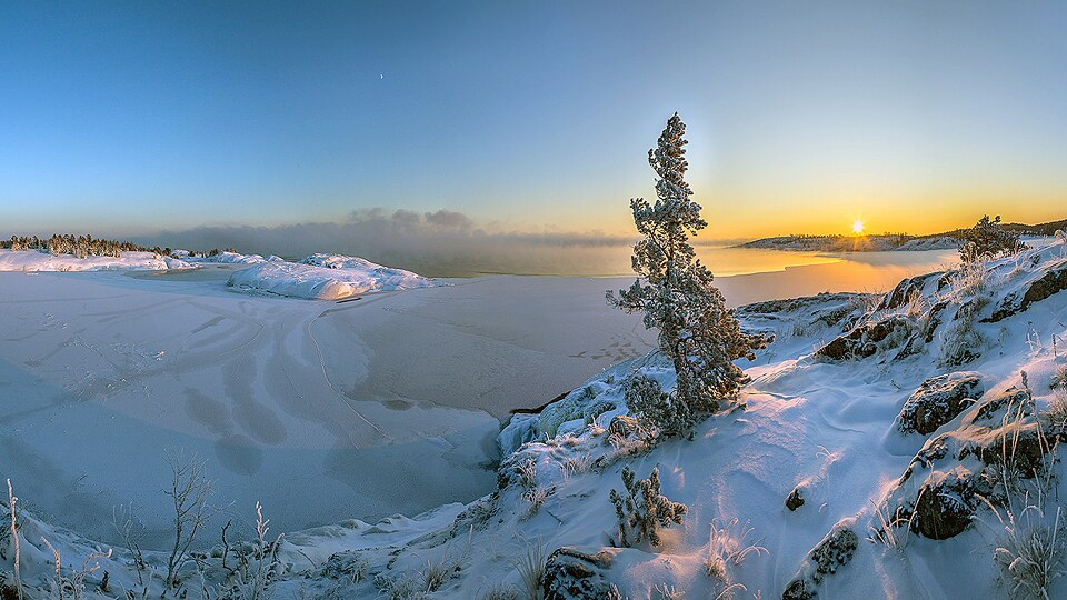 Фото: Wikimedia | Елена Ветрова