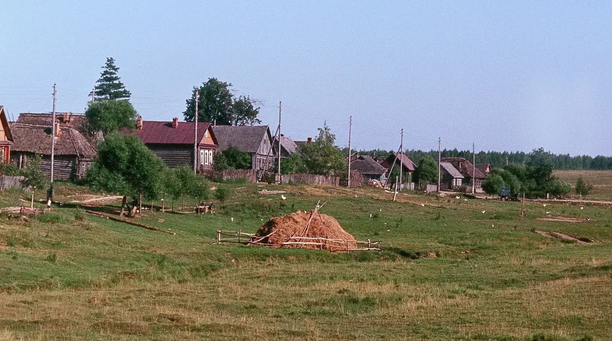 Фото из открытых источников