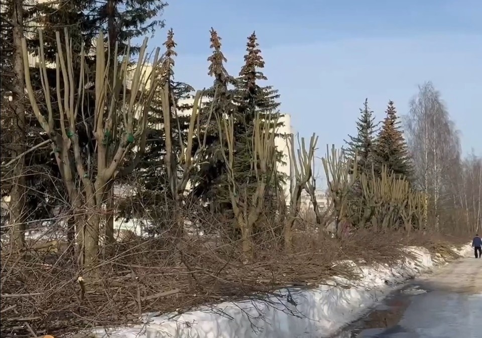    скрин с видео администрации Владимира