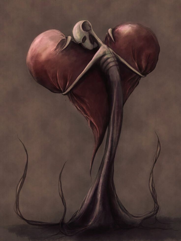 Фото из открытых источников 