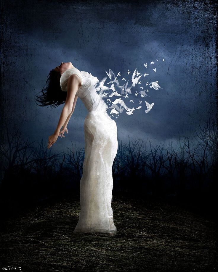 Фото из открытых источников 