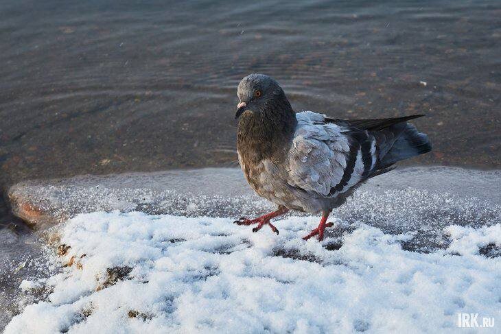 Прежде чем какие-то планы на выходные строить, надо же знать погоду, да