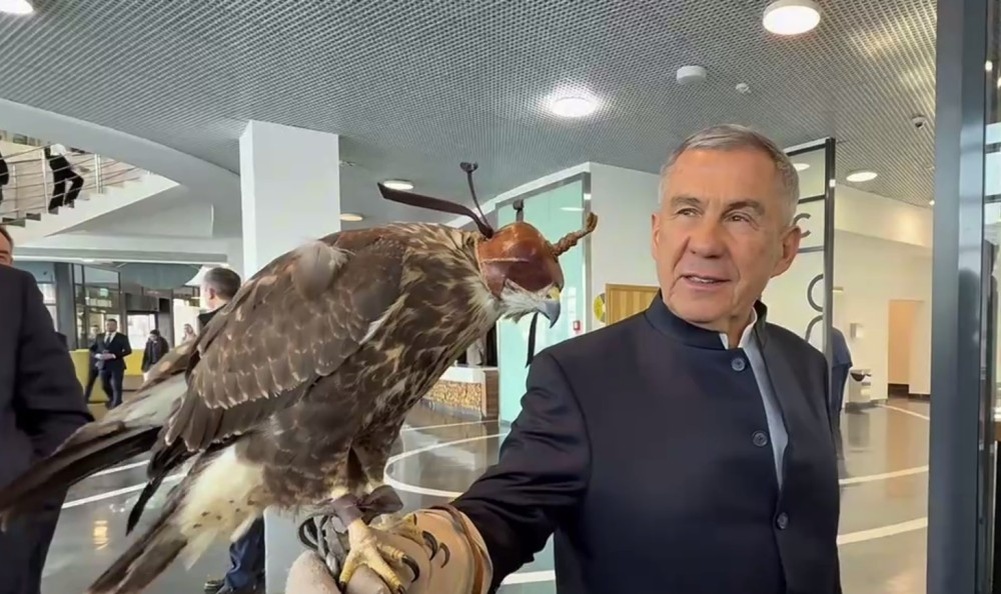    Разведением соколов займутся в Татарстане