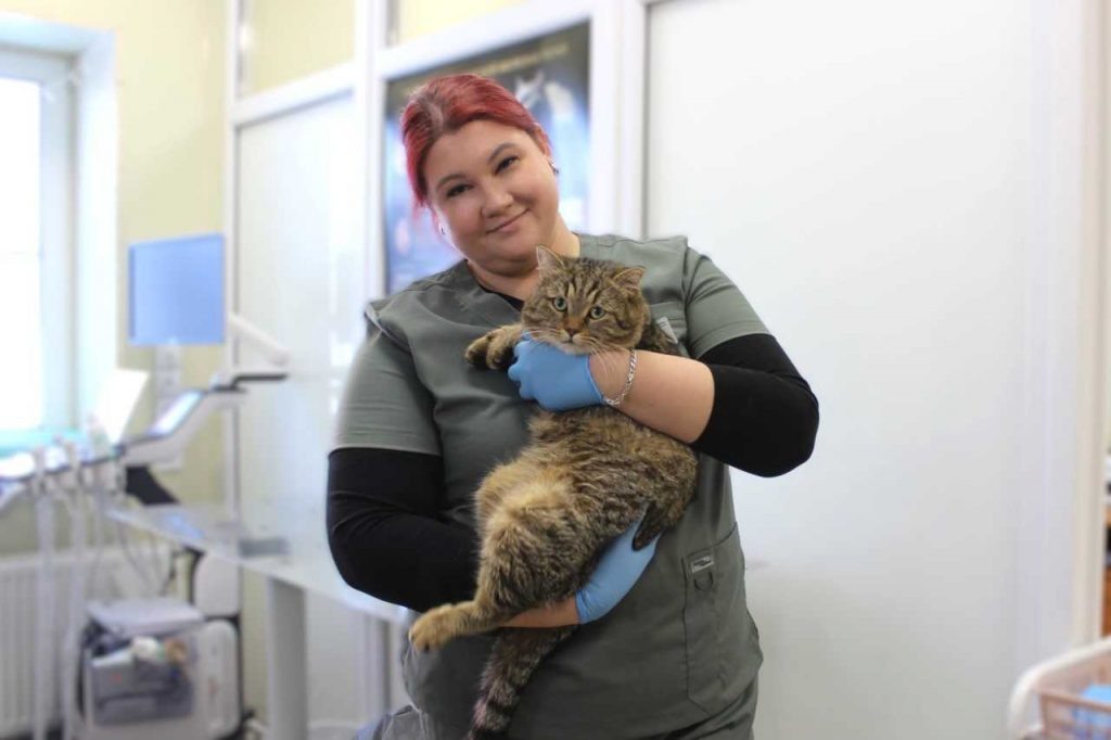    Фото предоставлено управлением ветеринарии Ростовской области Редактор