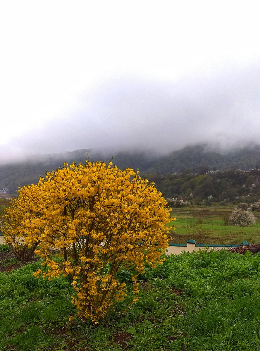 Вот так здесь в апреле