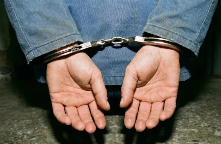    Фото: генерация AI