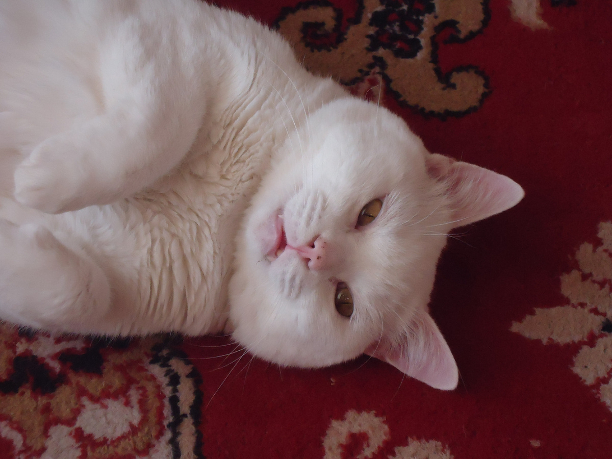 Тот самый Юкис. Из архива автора.