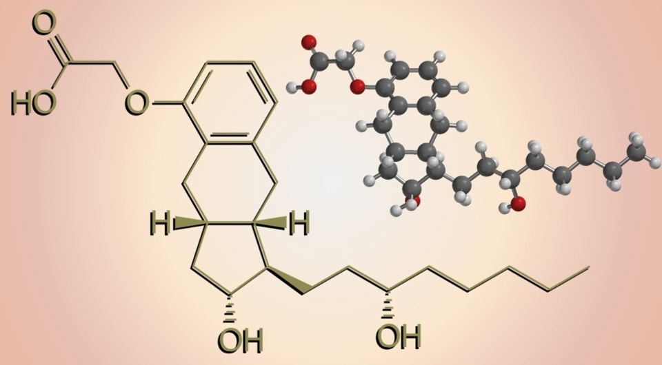   N + 1; Fvasconcellos / Wikimedia Commons / Public Domain; Williamseanohlinger / Wikimedia Commons / Public Domain