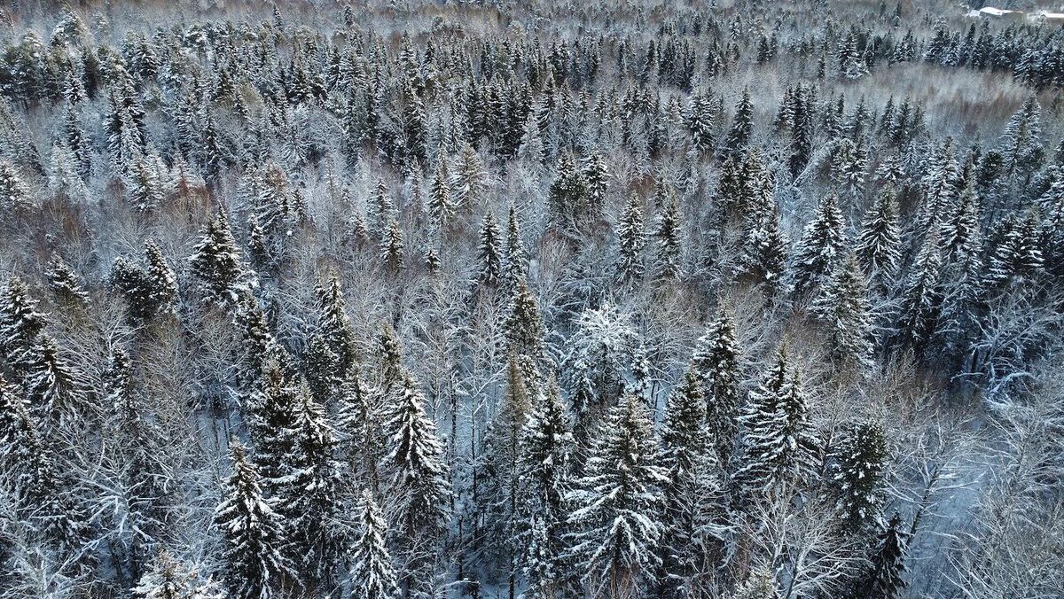   Влад Некрасов / Коммерсантъ- Архивное фото
