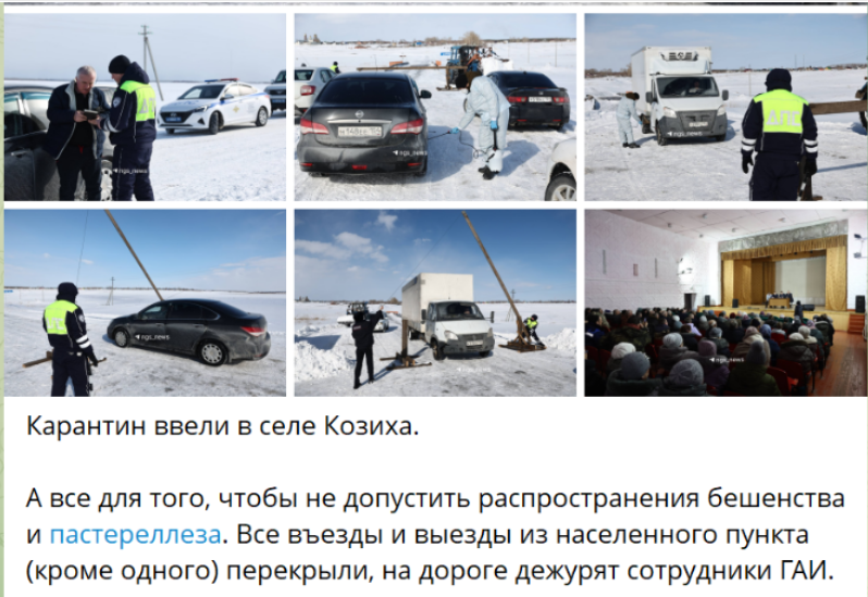 Скрин с канала "НГС — новости Новосибирска".