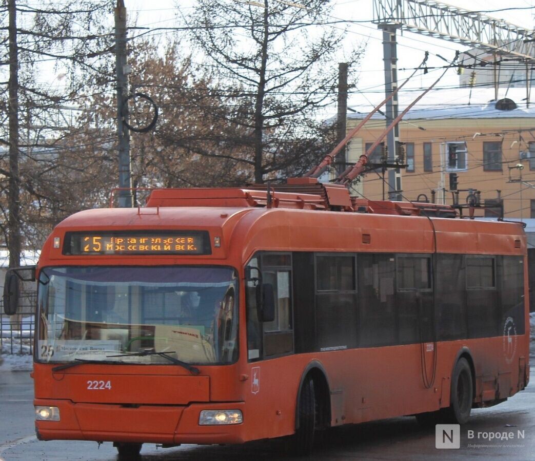    Фото: ИА «В городе N»