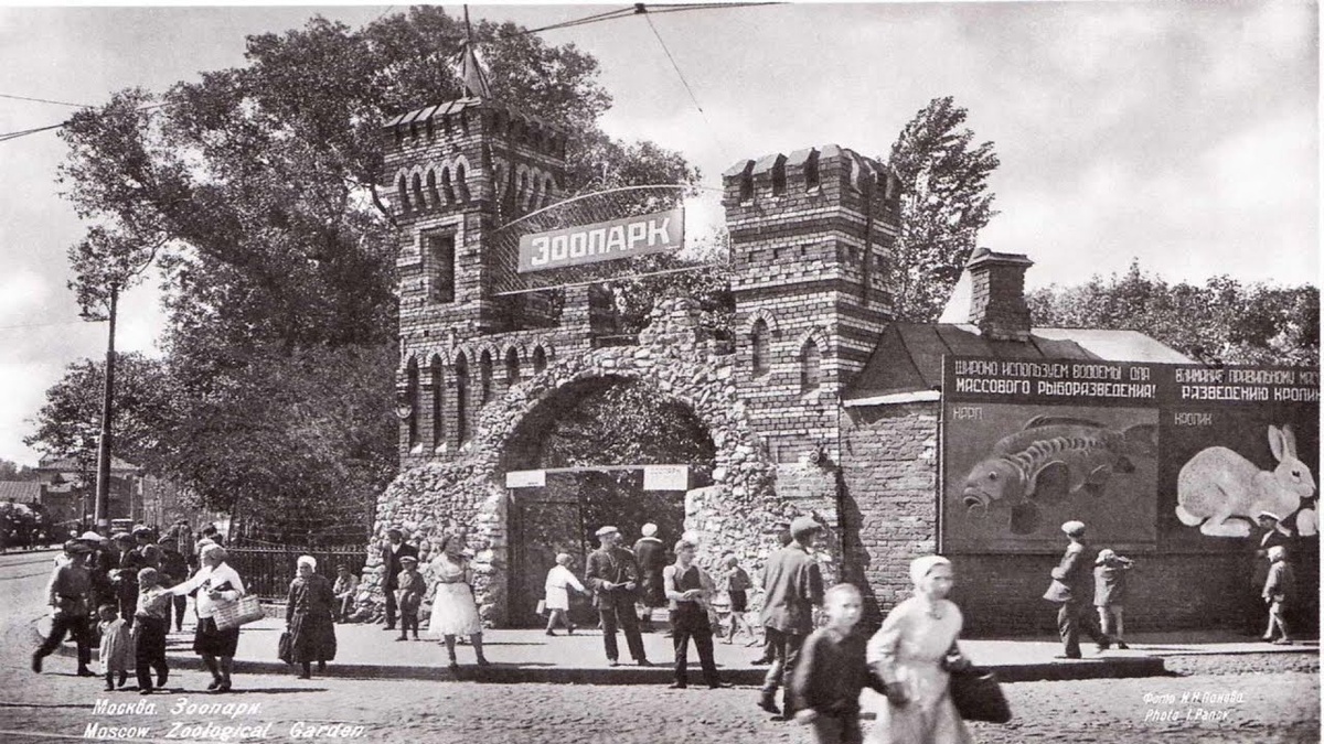📷 Фото 2: Старое фото Московского зоопарка (конец XIX — начало XX века).