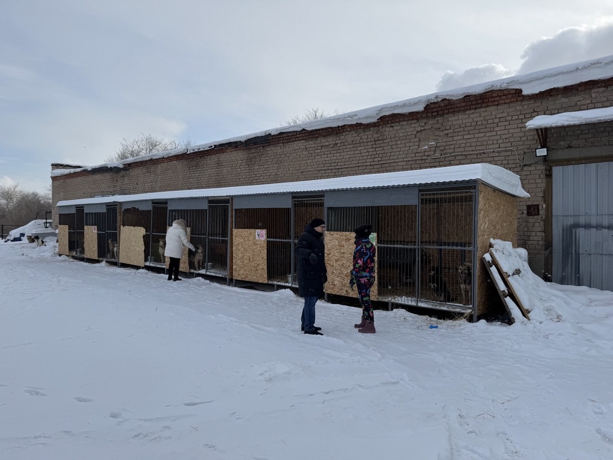    Открыт прием заявок на третий ежегодный конкурс социальных инициатив «Территория добра» от Волонтерского центра РМК «Сила Урала»