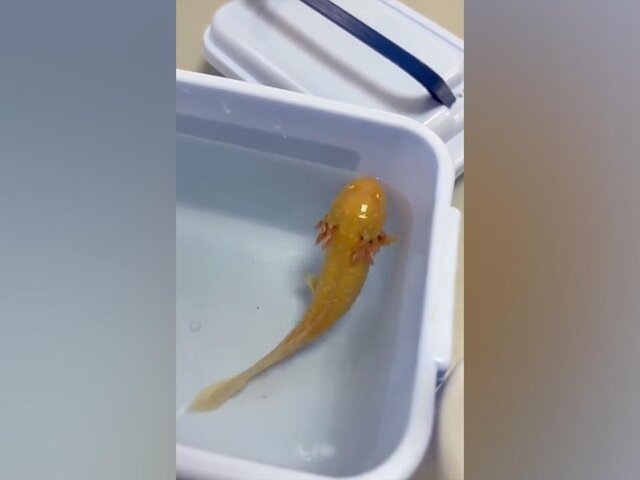    Фото: vk.com/verniy_drug_kirov