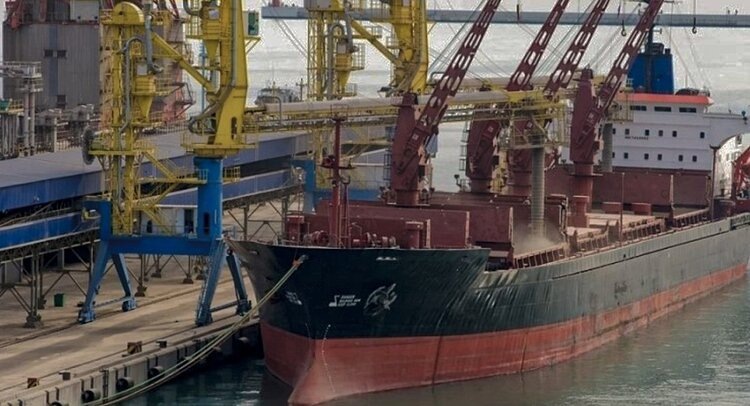    Фото: ФГБУ ЦОК АПК