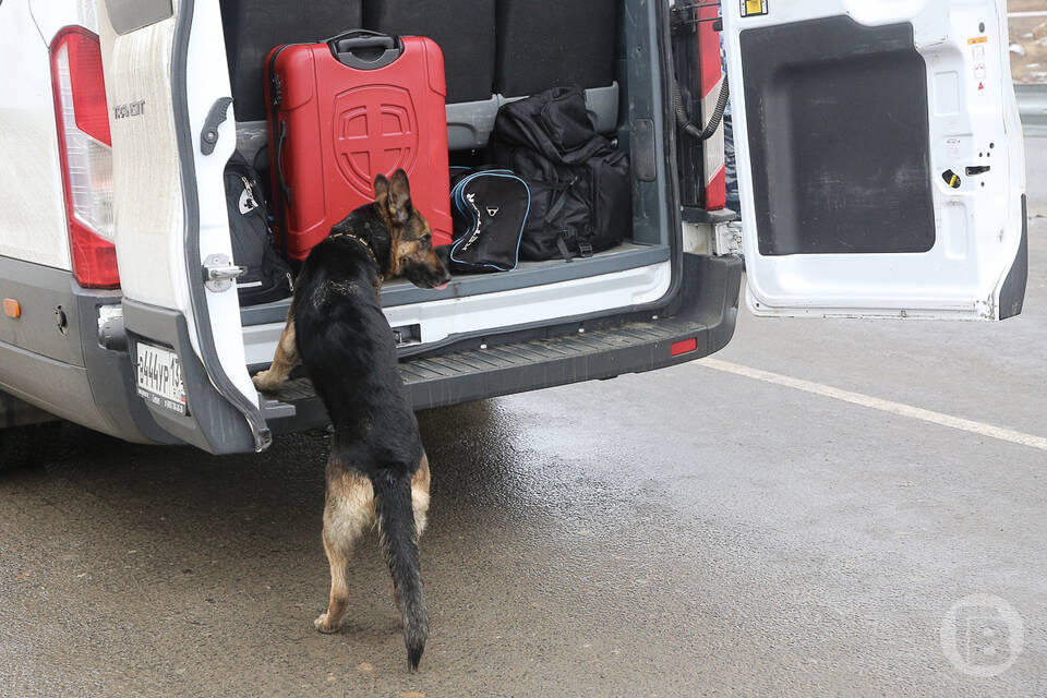    Фото: Дмитрий Рогулин / "Городские вести"