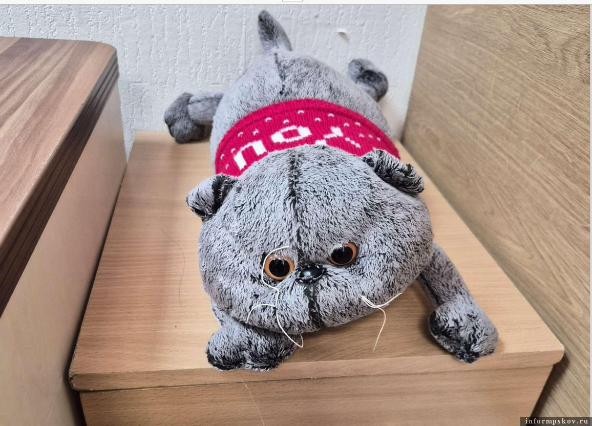 Фото предоставлено Арбитражным судом Псковской области